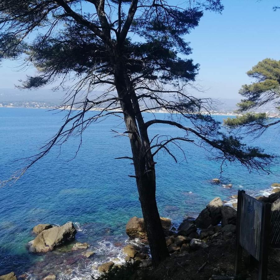 Clos Victor Spacieux 2 Pieces Toulon Exterior foto